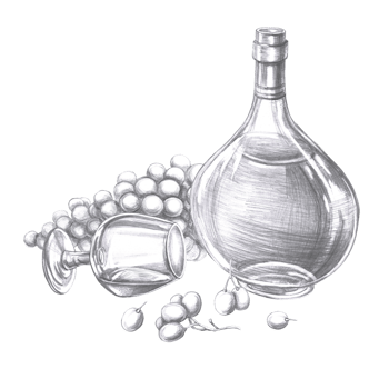 Bottle of cognac, fallen glass and big bunch of grapes in pencil. Isolated illustration on the theme of alcoholic drinks for menu design, cookbook, gastronomic magazines and festivals. png