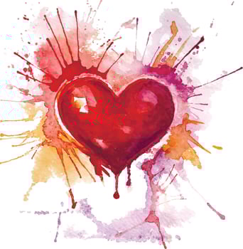 Red watercolor heart on the white background vector