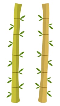 Bamboo flat icon isolated on white background. vector