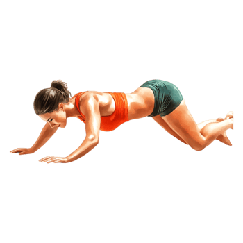 Fit Woman Exercising in a Plank Position on Isolated Background png