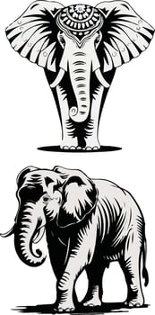 Elephant outline Illustrations Clipart vector