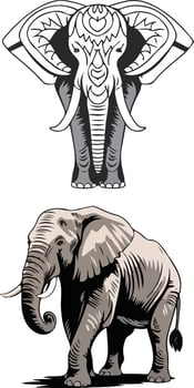 Simple Elephant Illustrations Clipart vector
