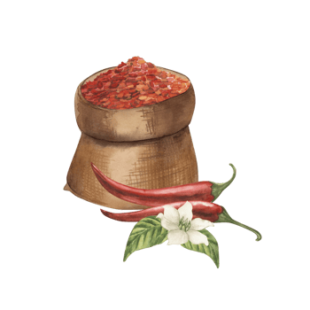 Red chilli pepper and flower lie on green leaves next to a bag filled with dried spice flakes. Watercolor illustration hand-drawn in botanical style in red brown green colors. For gastronomic design png