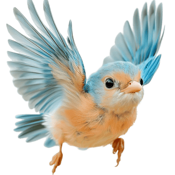 Blue songbird with delicate feathers and outstretched wings in flight png
