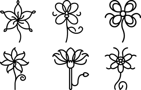 Delicate Botanical Silhouettes vector