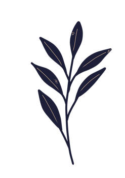 Simple hand drawn leaf in dark color png