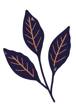 Dark mystic leaf foliage illustration png
