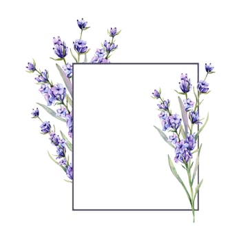 Lavender Frame Watercolor Illustration. Hand Drawn Lavender Branches Isolated. Lavender flower background. Watercolor Painting of Lavender. Purple Flowers Watercolor. Elegant Floral Design Template vector