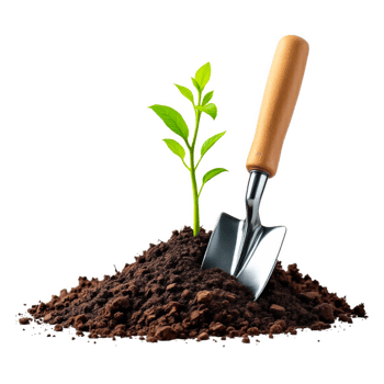 Plant Growth Seedling in Soil png