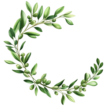 Botanical Greenery Wreath Design png
