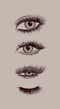 Eyes and eyelash collection drawing in graphic art style on beige background vector