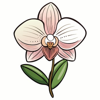 Delicate Pink Orchid Blossom with Lush Green Leaves Botanical Illustration vector