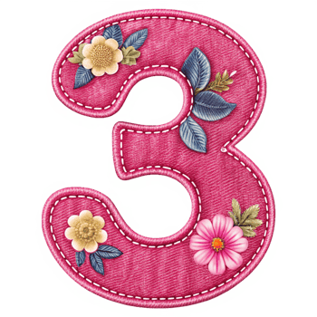 Number 3 Made of Pink Denim Floral Design png