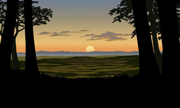 Beautiful woodland sunset view with grassland vector