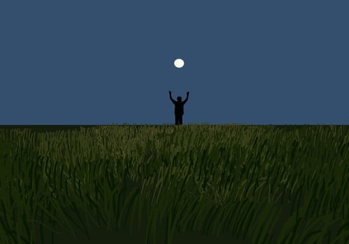 A man alone in the field at night vector