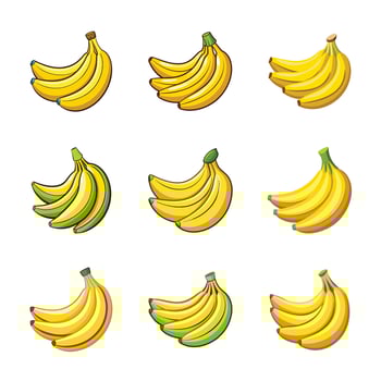 A collection of banana fruit with a white background vector