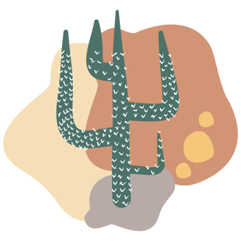 cactus plant icon with boho design png