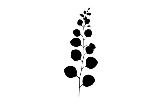 Eucalyptus Leaves Silhouette isolated on a white background vector