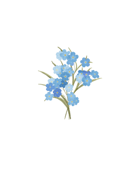 Minimalistic bouquet of blue forget-me-nots, greeting card with flowers png