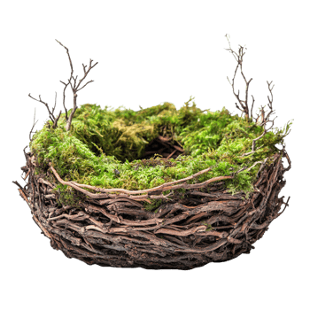 Mossy bird nest with intricate organic textures and natural charm isolated on a transparent background png