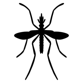 Mosquito silhouette on white background vector
