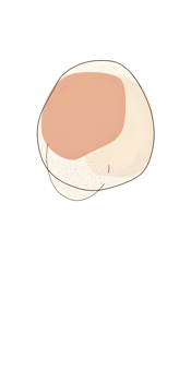 Circular Shape Illustration Peach and Off-White on Transparent Background png