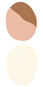 Abstract Circular Shapes in Pink Beige and Brown png