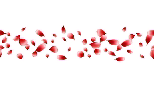 Realistic red rose petals flying decoration border celebration, Valentine's Day, wedding, card vector