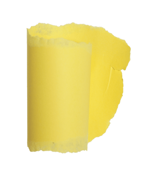 Torn Yellow Paper Rolled Strip on Transparent Background png