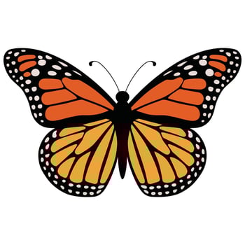 Minimalist Monarch Butterfly Illustration. vector