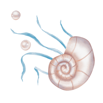 Watercolor composition of Seashell and Seaweed, pearl. Hand drawn illustration of Sea Shell and violet Algae on isolated background. Undersea element for design in marine vintage style. png