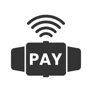 Pay Icon for Digital Payment Systems png