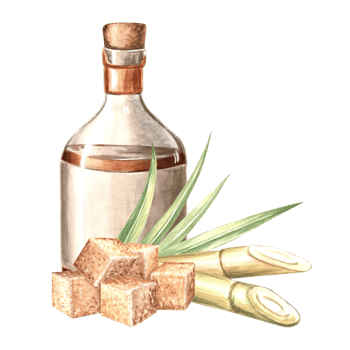 Bottle of rum with cork. Sugarcane and brown sugar cubes. Transparent vessels with alcoholic drink, whiskey. Hand drawn watercolor illustration isolated. Clipart for food industry, menu, packaging. png