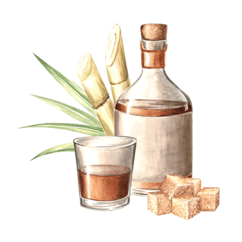 Bottle of rum and glass. Sugarcane and brown sugar cubes. Transparent vessels with alcoholic drink, whiskey. Hand drawn watercolor illustration isolated. Clipart for food industry, menu, packaging. png