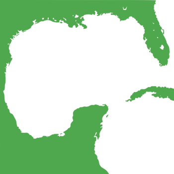 Gulf mexico of america png