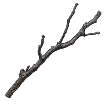 dry branch with ash like residue, evoking burnt or charred appearance, showcases remnants of fire. Its twisted form adds unique texture to natural elements png