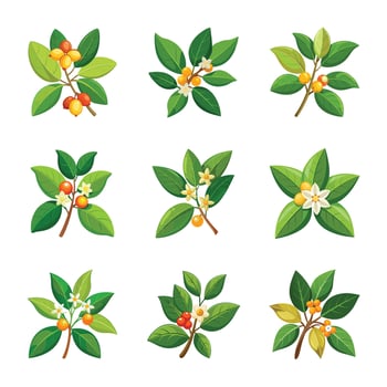 Spring flower collection vector