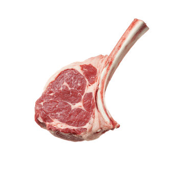 Fresh and marbled raw lamb leg with large bone, ideal for grilling or roasting, showcasing rich color and texture, perfect for culinary enthusiasts png