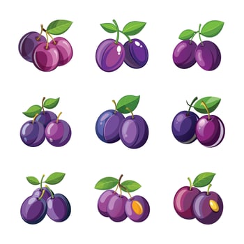 Set of realistic plum fruits. vector