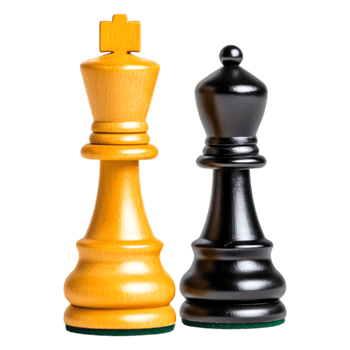 Wooden Chess Pieces King and Queen on png