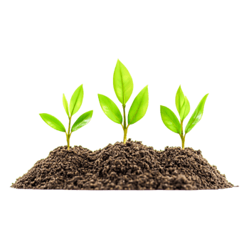 Green Seedlings Growing in Rich Dark Soil on Isolated Background png