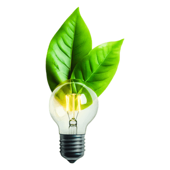 Eco-friendly Light Bulb Surrounded by Fresh Green Leaves for Sustainability png