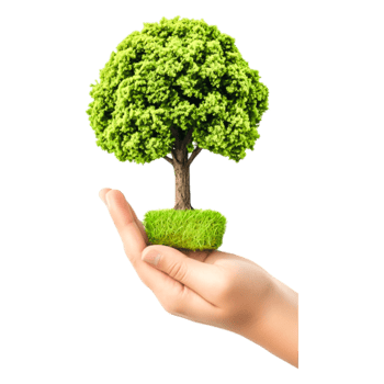 Hand Holding Small Green Tree Symbolizing Care for Nature png