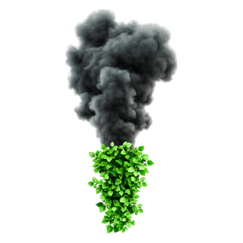 Green Leaves Emerging from Dark Smoke in Environmental Concept png