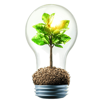 Light Bulb Concept with Growing Plant Representing Sustainability png