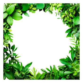 Lush Greenery Frame Design Ideal for Nature-Themed Presentations png