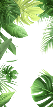 Lush Green Tropical Leaves on Transparent Background png