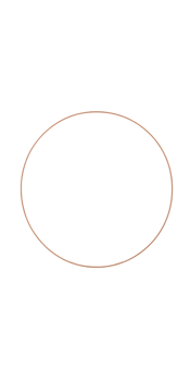 White Circle with Brown Border on Transparent Background png