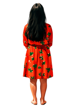 Woman in Red Floral Dress Standing with Back to Camera Outdoors png