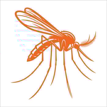 Orange Mosquito Illustration of Flying Insect with Long Legs and Wings Isolated on White Background for Pest Control, Disease Awareness, Malaria Prevention, and Health Infographic Design vector